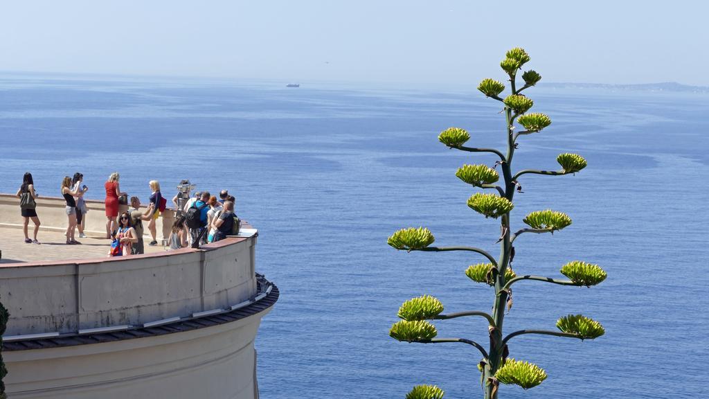 Baie Des Anges *
