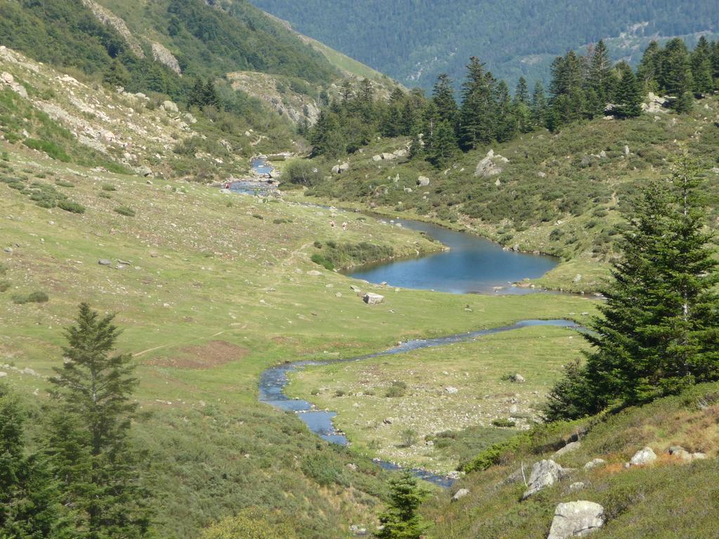 Baie Des Anges Alloggio in famiglia Nizza